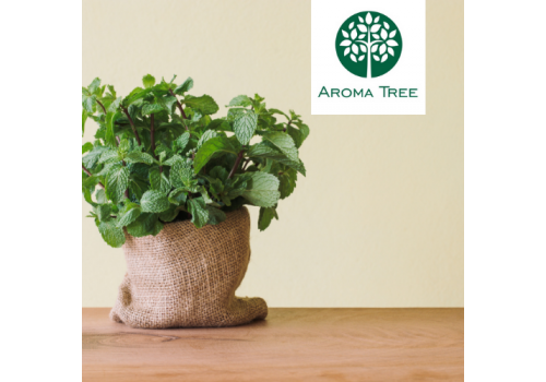 有機胡椒薄荷 Peppermint