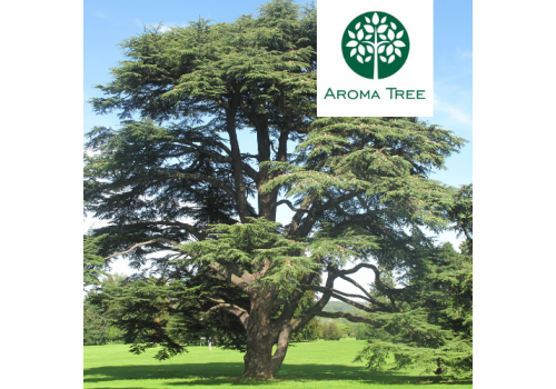 有機雪松 Cedarwood Alas