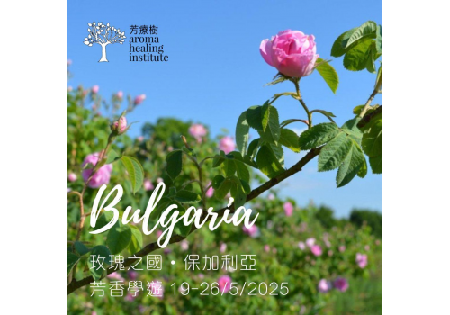 玫瑰國度 保加利亞 芳香學遊2025