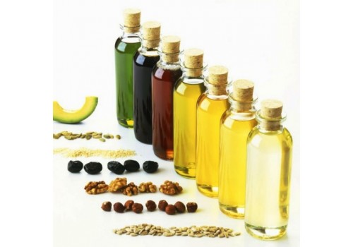 向日葵籽 Sunflower