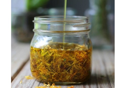金盞花 Calendula organic