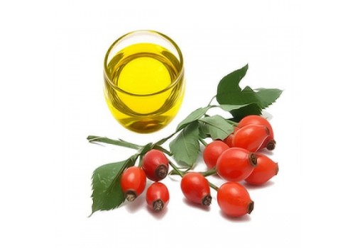 玫瑰果 Rose Hip