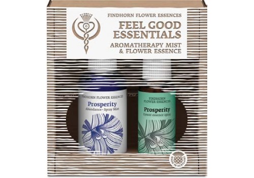 Feeling Prosperous Duo 感受豐盛雙件組