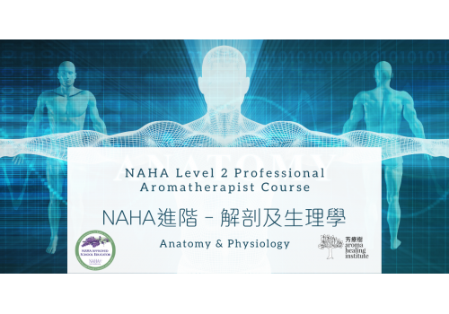 Naha 2 解剖及生理學